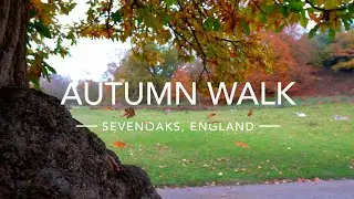 AUTUMN WALK in Sevenoaks, ENGLAND
