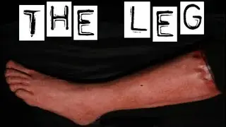BEWARE OF THIS WOMAN ON ALL HALLOWS EVE! | The Leg | (ScaryForKids)