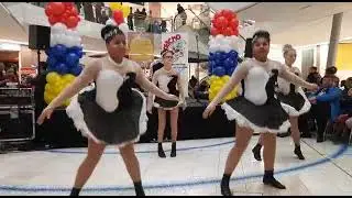 Die Shinning Diamonds der Roten Herolde 1956 e.v am 11.11.23