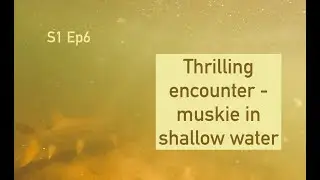 S1 Ep6 - Muskie spotting and saving wildlife from fishing line