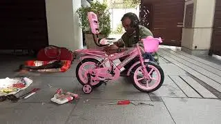 Amazon.speed bird Baby cycle color Name '.pink