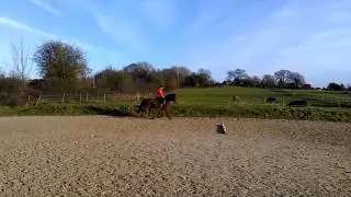 Rushpole Holly Wood