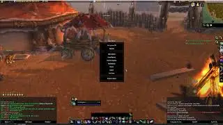 World of Warcraft Turtle Hardcore Hunter 8.1
