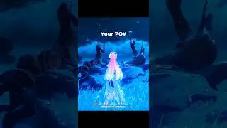 Your POV vs Teammate POV #wutheringwaves #aemeth