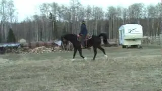 20100419191253.mpg