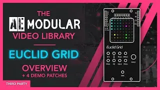 The AE Modular Video Library - Euclid Grid