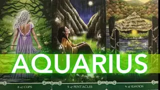 AQUARIUS GET READY, THE LOVE OF YOUR LIFE IS COMING & U RE NEVER GONNA WANNA BE APART! TAROT LOVE