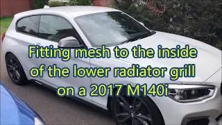 BMW M140i Meshed Grill