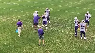 Watch LSU O-linemen work during 2025 spring, including freshmen Carius Curne, Solomon Thomas
