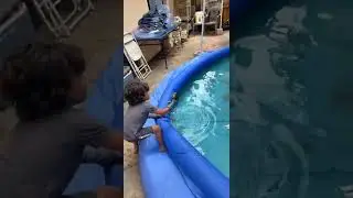 Little Boy Grabs Frog Out Of Swimming Pool With Hand