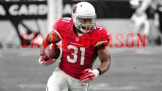 David Johnson || Arizona Cardinals 2016 Highlights || Immortal