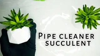 pipe cleaner succulent tutorial  #pipecleaner​ #diytutorial​ #fyp