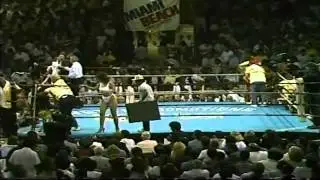 Mike McCallum vs Julian Jackson