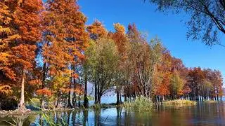 Relaxing music, Winter is coming, bringing cold weather, sound of waves hitting the shore, relax