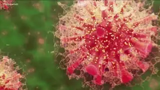 'Double mutant' COVID-19 variant first discovered in India now found in the U.S.