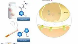Use of bupropionis to improve smoking cessation success rates