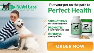NUVET LABS VITAMINS FOR OUR AMERICAN BULLYS GREAT PRODUCT MY BULLS LOVE THEM
