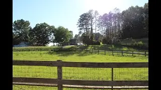 #4960- HOBBY FARM / MINI-FARM FOR SALE IN MCNAIRY CO TN