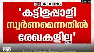 Sabarimala Gold Plate | 'കട്ടിളപ്പാളികൾ സ്വർണമാണെന്നതിൽ രേഖകളില്ല'