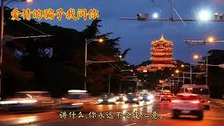 闽南语歌曲《爱拼才会赢》《金包银》《浪子的心情》《酒梦》等
