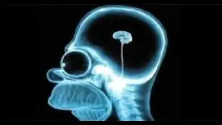 DUNNING-KRUGER: SOFOMANIACOS BRASILEIROS