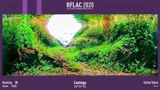 RFLAC 2020 Aquascaping Contest Results by Reeflowers