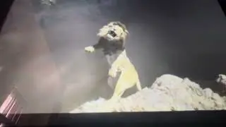 Mufasa's death (Brazilian Portuguese)