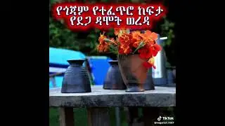 የጎጃም የተፈጥሮ ከፍታ ደጋ ዳሞት