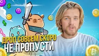 Capybomb когда уже дроп? / Как быстрее фармить токены проекта?