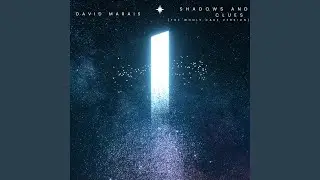 Shadows and Clues (The Whole Case)