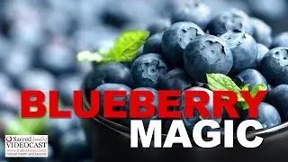 Blueberry Magic