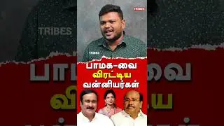 Vikravandi by election results 2024 - Karikalan exposes NTK Seeman & Anbumani Ramadoss| Saattai