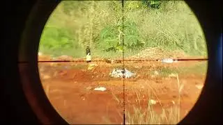 Pcp Tiger 6.35mm  teste slug lfaz a 25 e 50 metros!!!!
