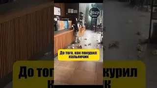 Зачем ты так себя ведешь? 🤔 #shisha #кальян #обзор #hookah