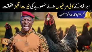 The Shocking Truth Behind Ibrahim&rsquo;s Black Chicken Project