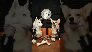 Dog Podcast: Odcinek 7