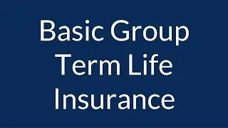 What Is Basic Group Term Life Insurance?