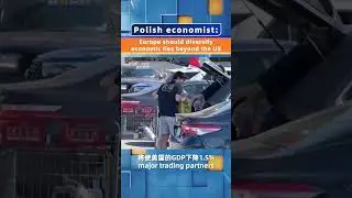 Polish economist: Europe should diversify economic ties beyond the US