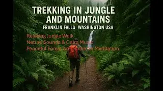 Franklin Falls Trail Walk &bull; Relaxing Jungle Music & Nature Sounds &bull; Peaceful Hike in Washington USA