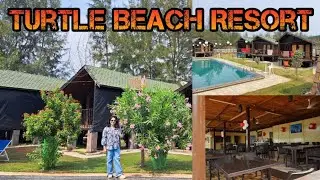 Turtle Beach Resort Review | समुद्रकिनारी स्वर्गासारखं ठिकाण!