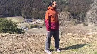 Japan's development