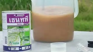 How to use and apply a Bt Biopesticide for Fall Armyworm Control