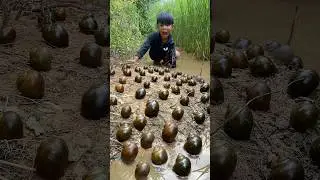Survival Skills: SIMPLE and USEFUL with snails #bushcraft #camping #outdoors