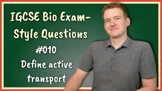 Вопросы в стиле экзамена по биологии IGCSE Q10