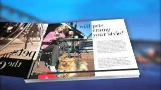 Pets in The City