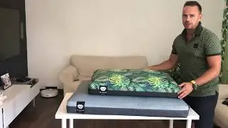 Mi a k&uuml;l&ouml;nbs&eacute;g a Soft Magic &eacute;s Fun kutyafekhelyek k&ouml;z&ouml;tt?