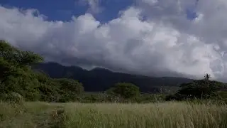 Blue Hawaiian Helicopters Tour Company Refuses to Clean up Crash Site