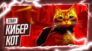 Котейка из будущего Stray ◉ Приключение начинается