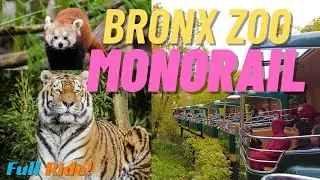 Bronx Zoo Monorail 2023 | Full Experience with Dangerous Animals #travel