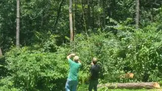 Tree win not a Tree Fail. Tree falls close to house